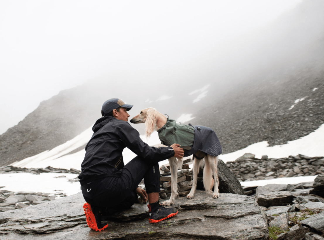 Fjord Raincoat (Non - Stop Dogwear) - SnowPaw Store - Non - Stop Dogwear - Dog Coats